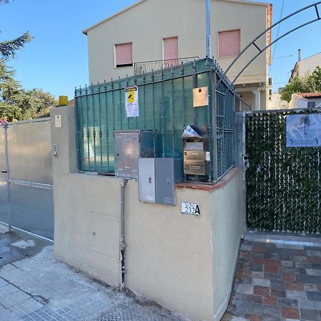 Dreamhouse B&B אולביה מראה חיצוני תמונה